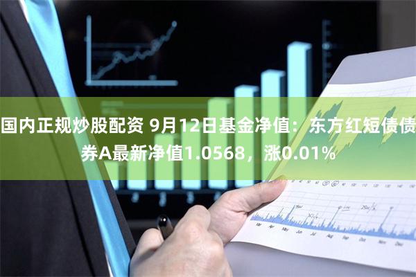 国内正规炒股配资 9月12日基金净值：东方红短债债券A最新净值1.0568，涨0.01%