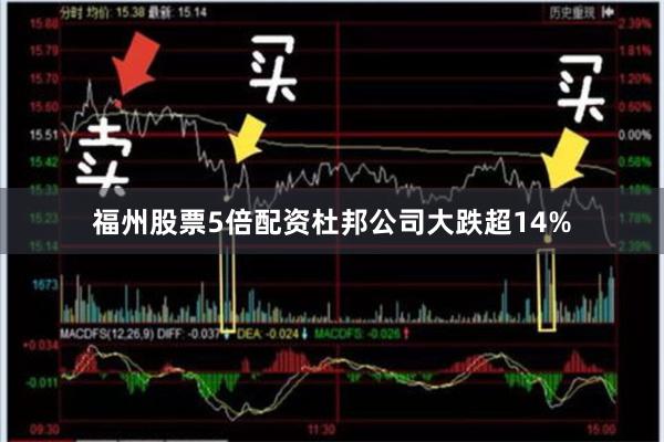 福州股票5倍配资 杜邦公司大跌超14%