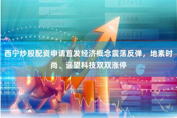 西宁炒股配资申请首发经济概念震荡反弹，地素时尚、遥望科技双双涨停